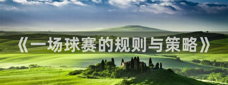 《一场球赛的规则与策略》