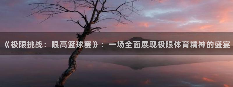 球王会体育平台网页：《极限挑战：限高篮球赛》：一场全面展现极