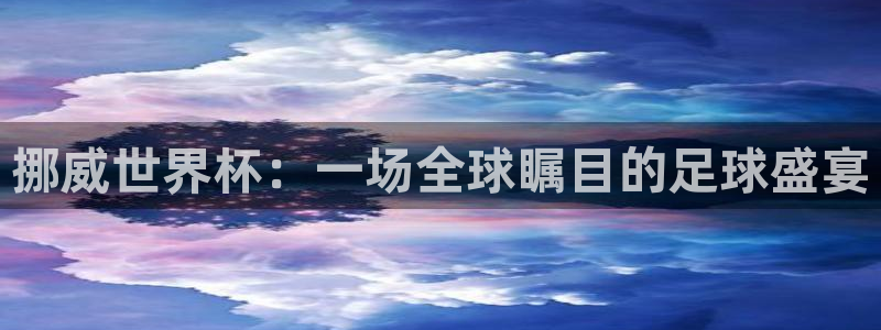 球王会体育下载：挪威世界杯：一场全球瞩目的足球盛宴