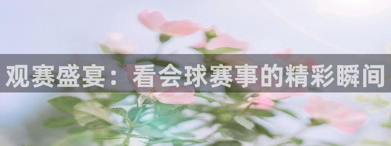 球王会体育app下载官网手机版：观赛盛宴：看会球赛事的精彩瞬